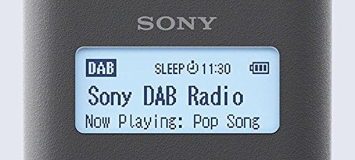 Sony XDR-V20D radio, DAB+, with stereo speakers, grey.