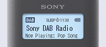 Sony XDR-V20D radio, DAB+, with stereo speakers, grey.