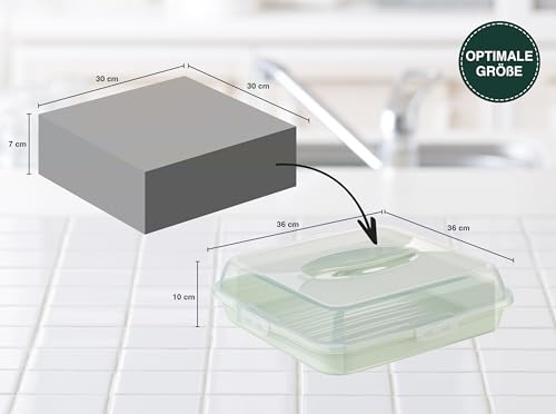 Cake transport box, square, cake transport box with lid, cover, and handle. Cake plate, storage box, cake container, pie container, serving plate, party butler.