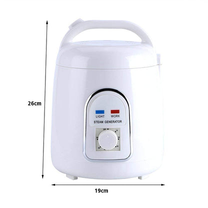 Sauna steamer steam generator steam sauna steam machine skin care 220V 1.8L home portable (220V)