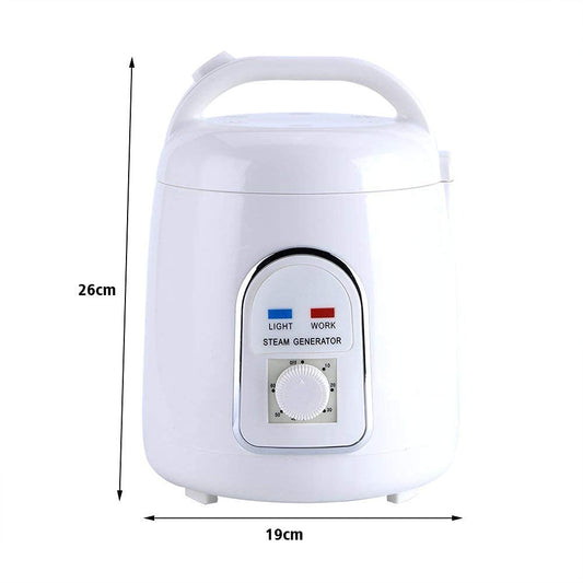 Sauna steamer steam generator steam sauna steam machine skin care 220V 1.8L home portable (220V)