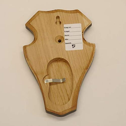 10 pieces of deer antler plaque trophy mounts with 1 jaw compartment in dark oak.