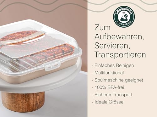 Cake transport box, square, cake transport box with lid, cover, and handle. Cake plate, storage box, cake container, pie container, serving plate, party butler.