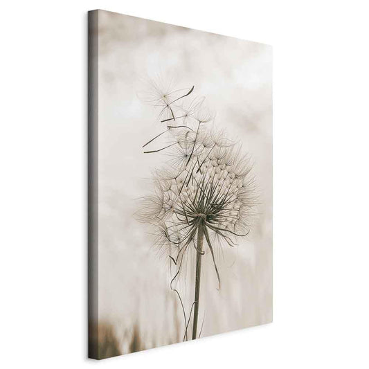 murando - Acoustic image Nature Pictures Acoustic foam High-performance sound absorber Soundproofing Canvas 1-piece Wall picture Room acoustics Sound insulation Dandelion Plant motif Flowers