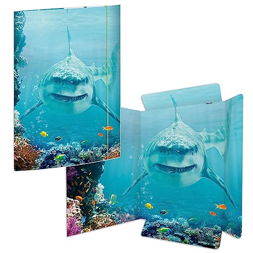 RNK 45358-3 - Character folder Shark Project 310 x 440 mm, 3 pieces, DIN A3, with elastic closure