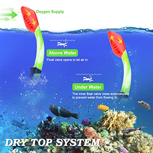 WOVOKA Kids Diving Goggles, Swimming Goggles for 4-12 Years, Diving Mask Snorkel Mask with Nose Cover 180° Panorama HD Anti-Fog Anti-Leak for Boys Girls Teenagers
