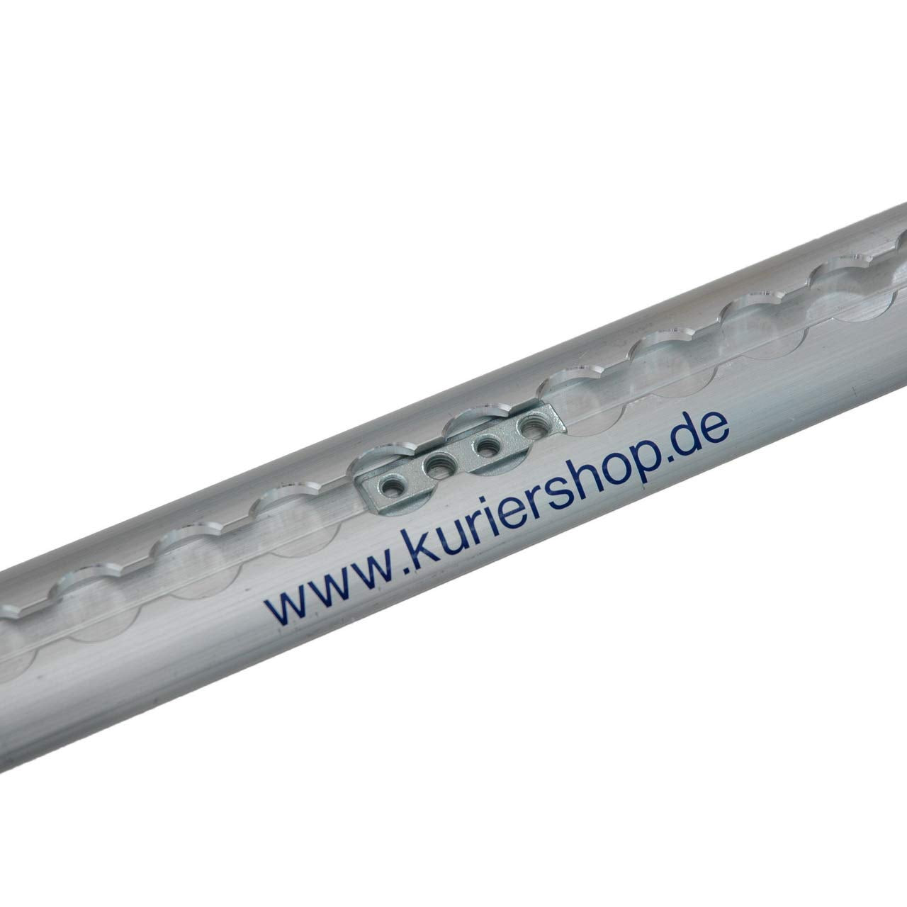 10 x T-slot nut with M6 + M8 thread for airline rail, steel galvanized