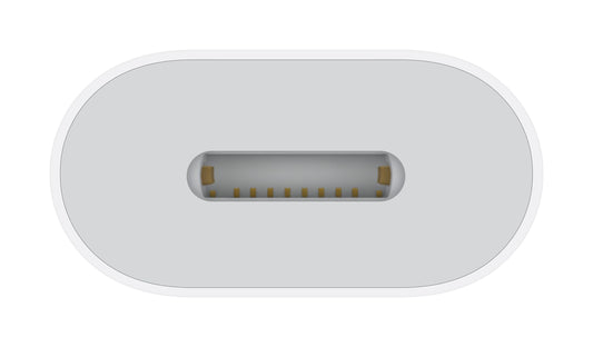 Apple USB-C to Lightning Adapter