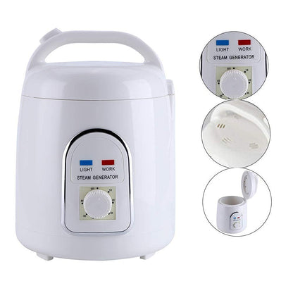 Sauna steamer steam generator steam sauna steam machine skin care 220V 1.8L home portable (220V)