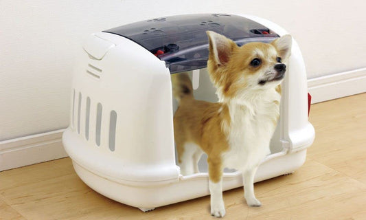 Iris Ohyama, Basket, Box, Crate, Plastic Transport Bag (PP) for Dog, Cat, L48 x W32.1 x H30 cm, P-HC480, White