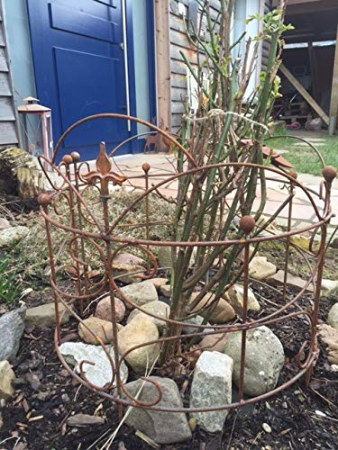 Perennial holder shrub holder close to the ground 2-piece round trellis bed metal iron rust decoration