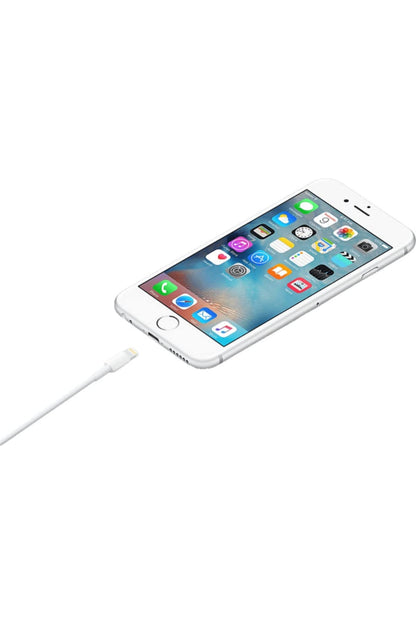 Apple Lightning to USB Cable (0.5 m)