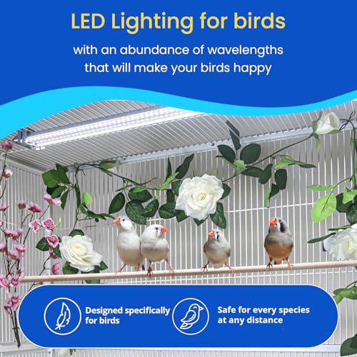 HappyBird Lighting Company - Bird Lamp for Songbirds - Full Spectrum LED Daylight Lamp - Simulates natural environment - For happy, content birds - Length: 45 cm