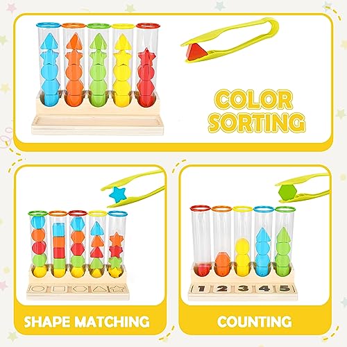 Joyreal Montessori Toy Sorting Game Counting Stacking Toy Wooden Learning Toy Shape Matching Game Gift for Kids Girls Boys 3 4 5 Years