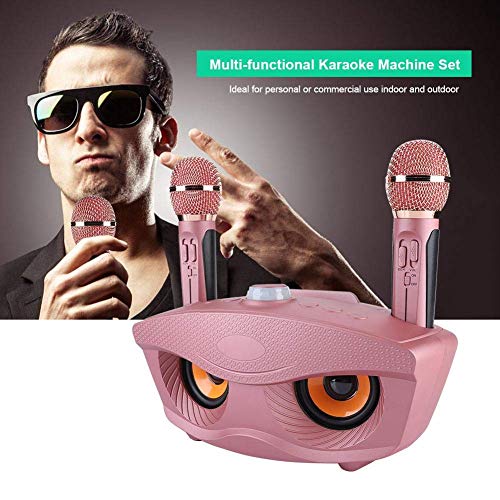 Portable karaoke machine, wireless Bluetooth speaker with 2 microphones Home karaoke party set for family home. Supports AUX TF card U disk FM radio. For children.