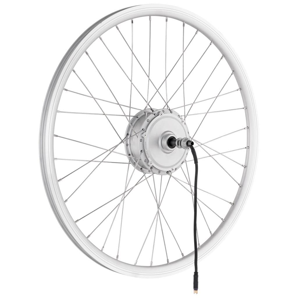 Windmill | E-bike hub motor rear wheel, silver, 20', 36V/250W, electric bike, pedelec