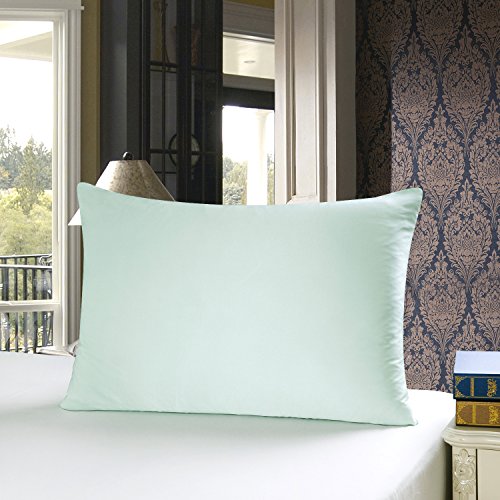 Townssilk 100% 19mm pure mulberry silk pillowcase, silk on both sides, for hair and skin health, silk pillowcase with hidden zipper, 600 thread count, 1 piece, 50x60cm, Light Green.