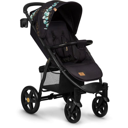 LIONELO Annet Plus stroller up to 22 kg with adjustable backrest, compact fold with accessories, EVA foam wheels, mosquito net, footmuff, cup holder, basket