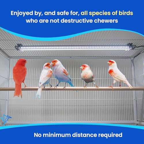 HappyBird Lighting Company - Bird Lamp for Songbirds - Full Spectrum LED Daylight Lamp - Simulates natural environment - For happy, content birds - Length: 45 cm