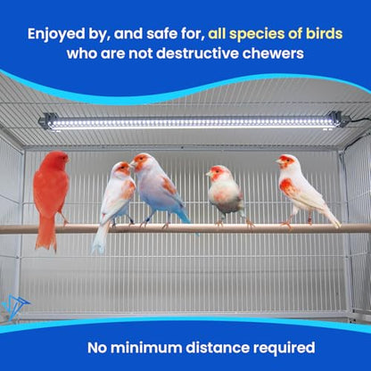 HappyBird Lighting Company - Bird Lamp for Songbirds - Full Spectrum LED Daylight Lamp - Simulates natural environment - For happy, content birds - Length: 45 cm
