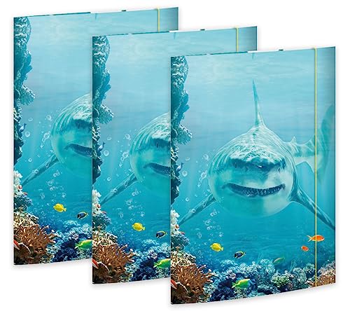 RNK 45358-3 - Character folder Shark Project 310 x 440 mm, 3 pieces, DIN A3, with elastic closure