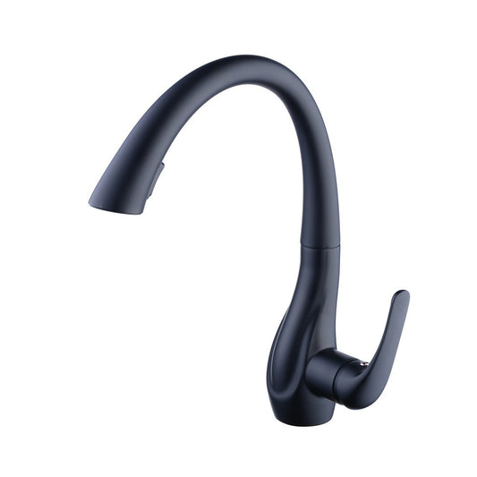 Beelee pull-out kitchen faucet with spray, single handle sink faucet, black paint, BL1749B.