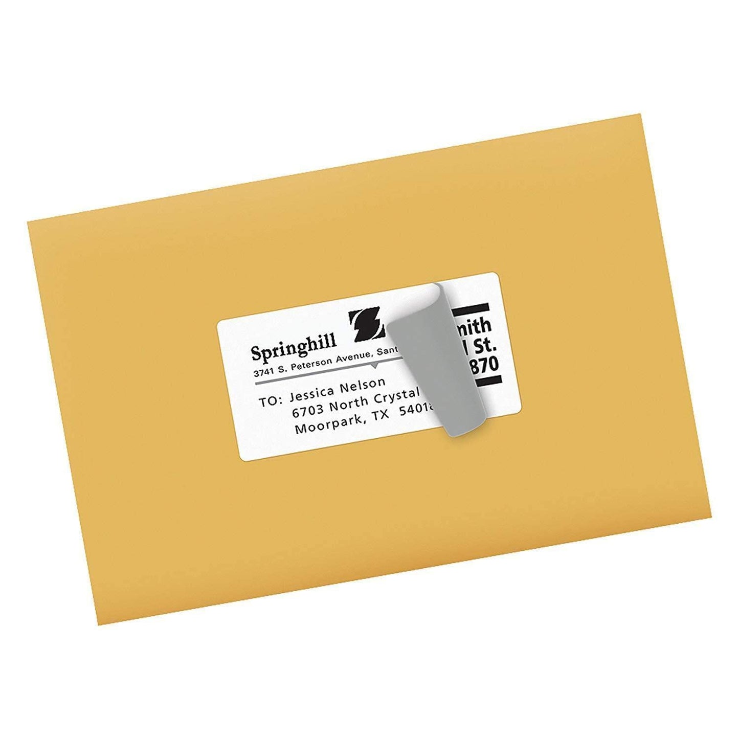 specmark 20 label rolls compatible with DYMO S0929120 25mm x 25mm S0929120 750 pieces compatible with all label printers LabelWriter 450 4XL Seiko-SLP