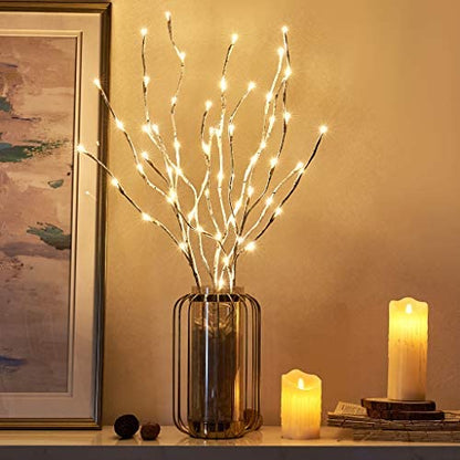 Eambrite decorative branch lights illuminate white birch branch stakes with 60 LED lights for outdoor and indoor decor for Christmas, Easter, Halloween, and parties.