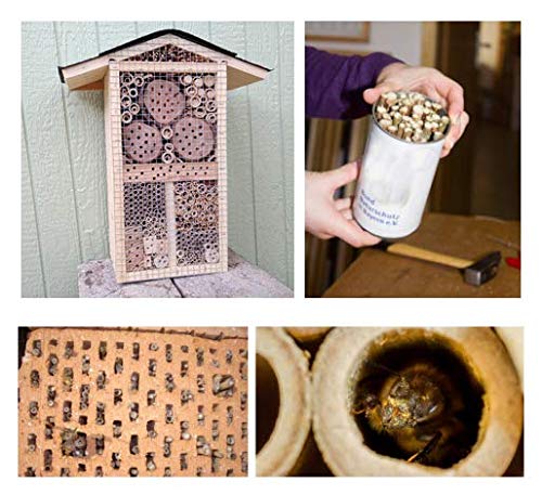 Great idea! 200 10cm length bamboo tubes filled with material for insect hotel. Winter content for wild bee nesting aid hanging insect house for garden balcony. Filling for wild bee insects.