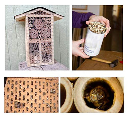 Great idea! 200 10cm length bamboo tubes filled with material for insect hotel. Winter content for wild bee nesting aid hanging insect house for garden balcony. Filling for wild bee insects.