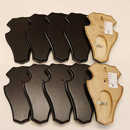 10 pieces of deer antler plaque trophy mounts with 1 jaw compartment in dark oak.
