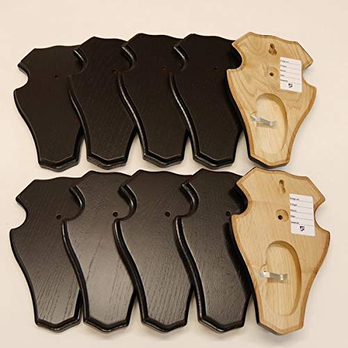 10 pieces of deer antler plaque trophy mounts with 1 jaw compartment in dark oak.