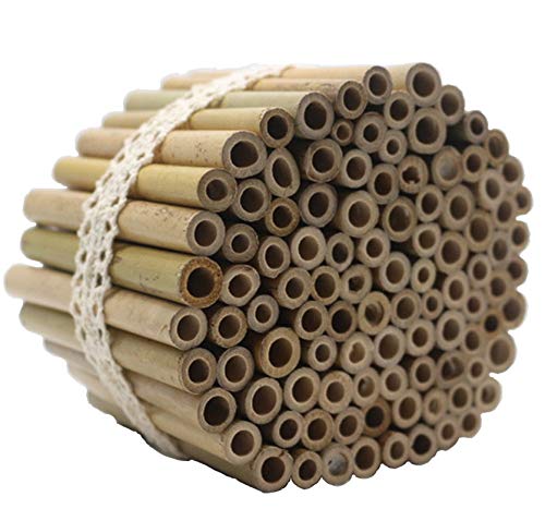 Great idea! 200 10cm length bamboo tubes filled with material for insect hotel. Winter content for wild bee nesting aid hanging insect house for garden balcony. Filling for wild bee insects.