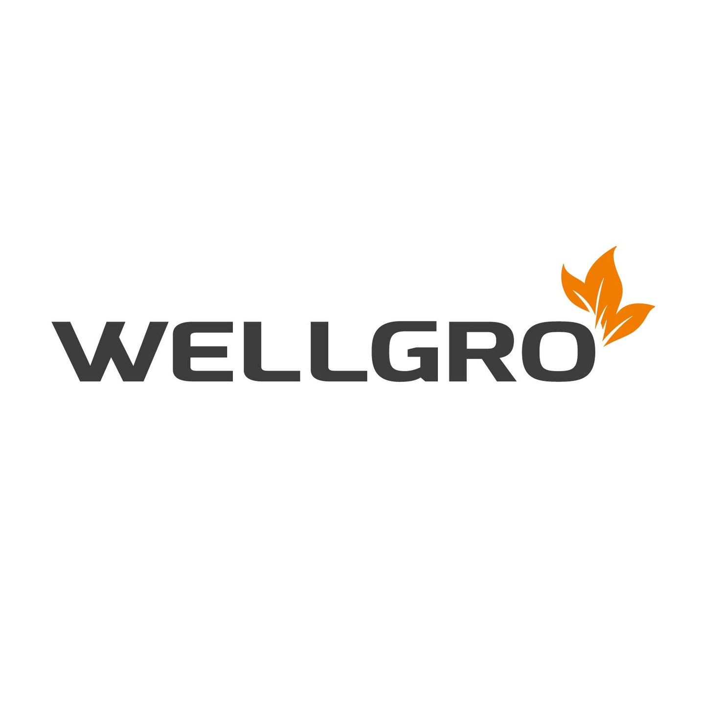 4 x WELLGRO Wall Bike Holder - Steel Bike Wall Mount - Bike Hooks - Bike Stand - Stand - Color selectable, Color: Black