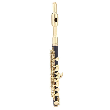 Piccolo flute in C key, Huairdum Piccolo Set with padded half-size flute for kids and adults, beginners and musicians (Golden)