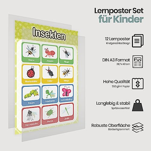 LIKARTO® 12 educational Montessori learning posters A3 - Extra thick paper and double laminated - Basics 2, elementary school learning posters, children's learning aid