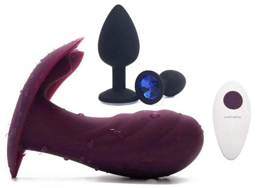 DESIRE TO GO 2 | The great bag with 2 stylish silicone Lovetoys for on the go | Butterfly vibrator with remote control + anal plug | Erotic gift box for her + him | Sex toy set for women.
