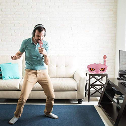 Portable karaoke machine, wireless Bluetooth speaker with 2 microphones Home karaoke party set for family home. Supports AUX TF card U disk FM radio. For children.