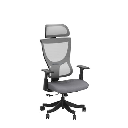 FLEXISPOT ergonomic office chair desk chair computer chair adjustable seat headrest 3D armrest lumbar support caster wheels task chair BS8G GRAY