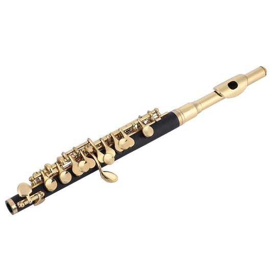 Piccolo flute in C key, Huairdum Piccolo Set with padded half-size flute for kids and adults, beginners and musicians (Golden)