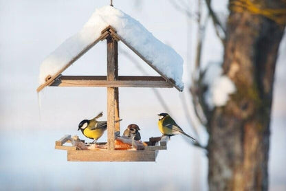 25 kg sunflower kernels peeled scatter feed bird feed birds wild birds (25KG, 25000, grams)