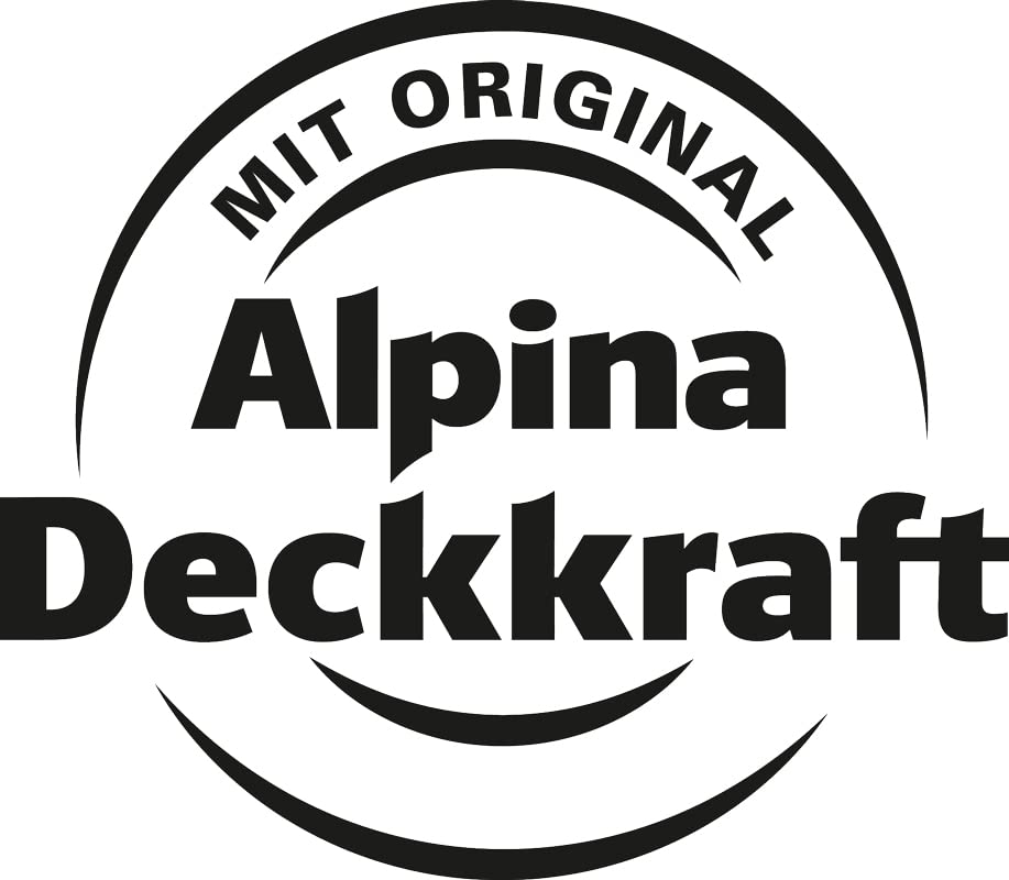 Alpina Metal Protection Paint matte - Anthracite Grey - Anti-rust paint for long-term corrosion protection - Weather and UV resistant - 2.5L