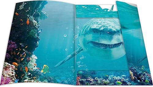 RNK 45358-3 - Character folder Shark Project 310 x 440 mm, 3 pieces, DIN A3, with elastic closure