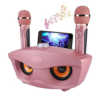 Portable karaoke machine, wireless Bluetooth speaker with 2 microphones Home karaoke party set for family home. Supports AUX TF card U disk FM radio. For children.