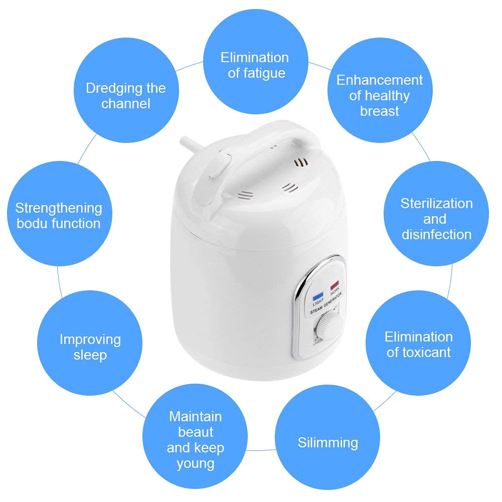 Sauna steamer steam generator steam sauna steam machine skin care 220V 1.8L home portable (220V)