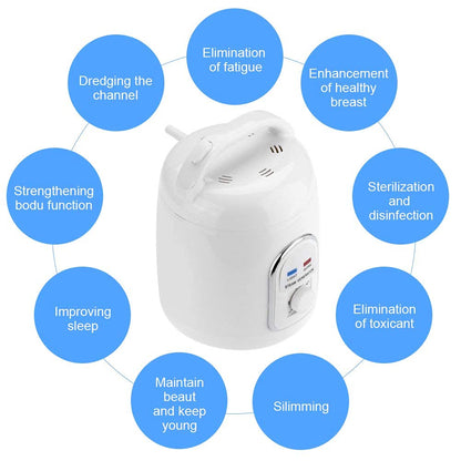 Sauna steamer steam generator steam sauna steam machine skin care 220V 1.8L home portable (220V)