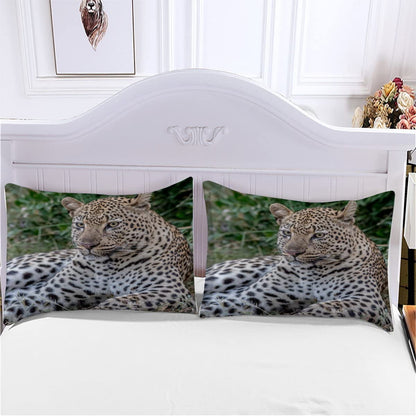 Bed Linen 135×200 3D Print 2pcs South African Cheetah Bedding Sets Soft Cozy Microfiber with Zipper Black-Beige Spots Summer Duvet Cover with 1 Pillowcase 80x80 Boys Girls
