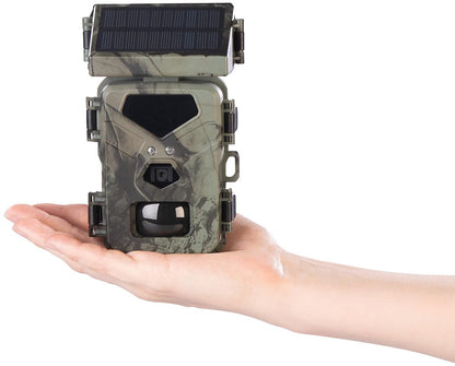 VisorTech wildlife cameras: WLAN 4K wildlife camera with solar panel, high-power no-glow LEDs, app (wildlife camera with solar, night vision, wildlife)