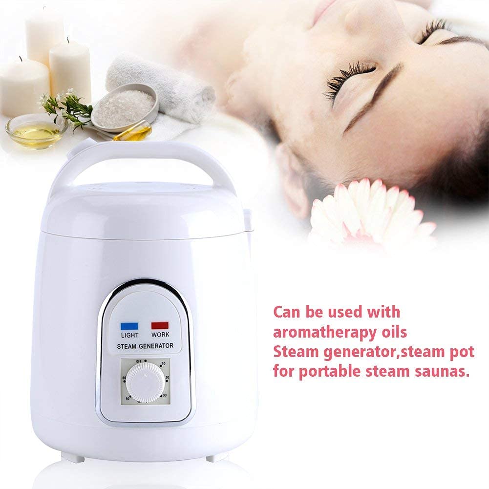 Sauna steamer steam generator steam sauna steam machine skin care 220V 1.8L home portable (220V)