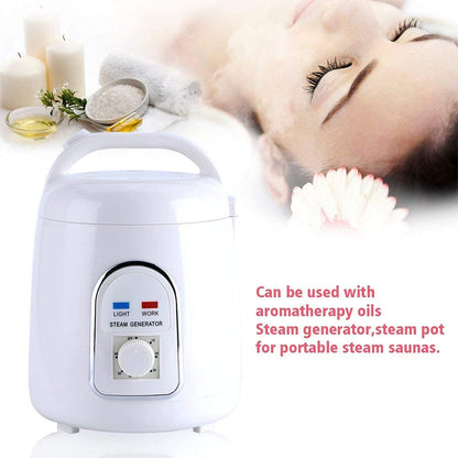 Sauna steamer steam generator steam sauna steam machine skin care 220V 1.8L home portable (220V)